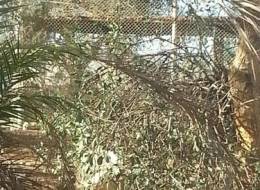 Заповедник дикой природы-246